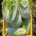 泾阳基地自种青杂大白菜