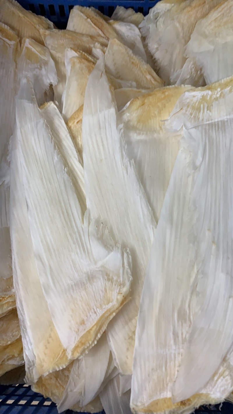 鱼翅牙拣牙片牙栋翅片红烧鲍翅14-24寸500克