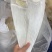 鱼翅牙拣牙片牙栋翅片红烧鲍翅14-24寸500克