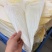 鱼翅牙拣牙片牙栋翅片红烧鲍翅14-24寸500克