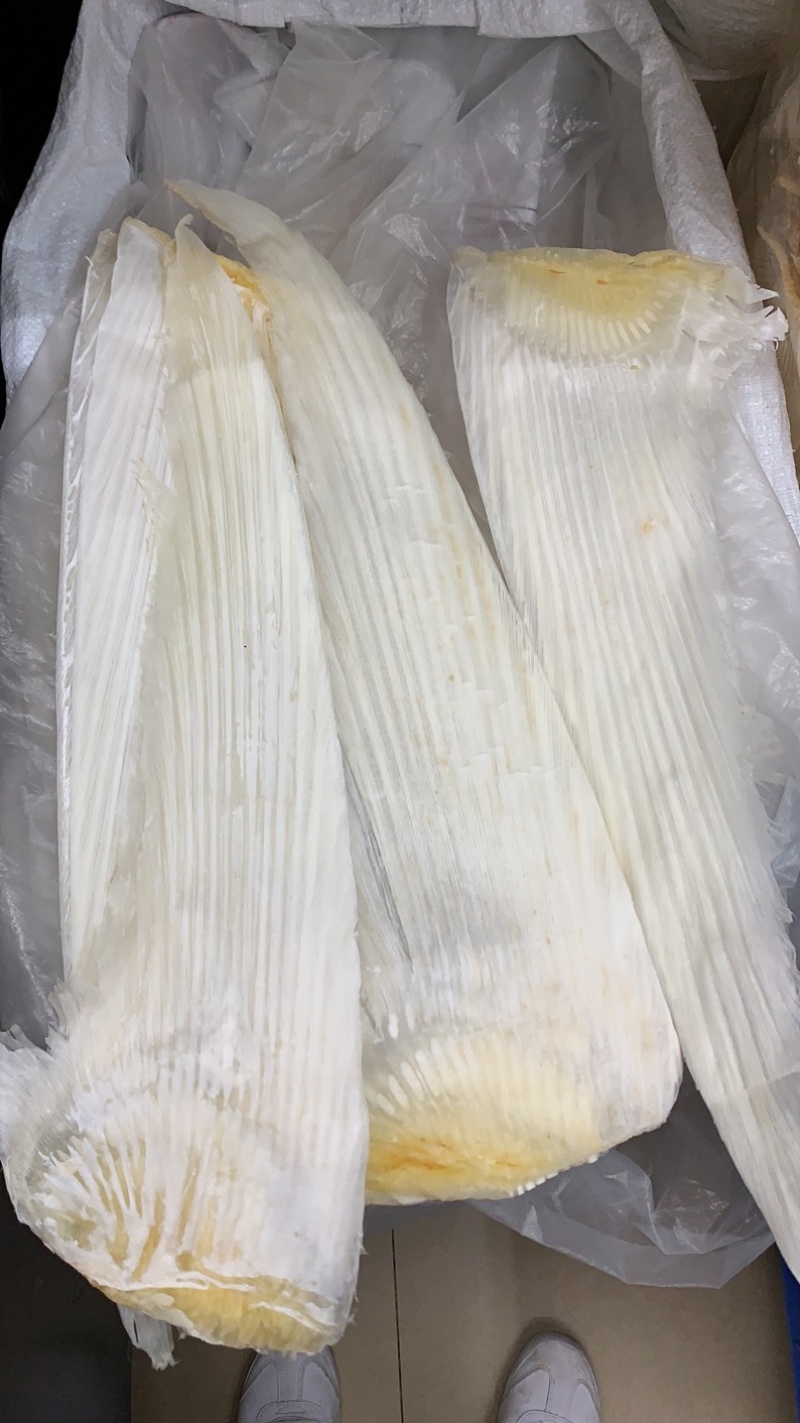 鱼翅牙拣牙片牙栋翅片红烧鲍翅14-24寸500克