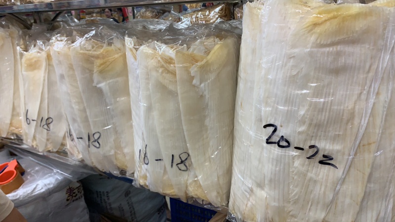 鱼翅牙拣牙片牙栋翅片红烧鲍翅14-24寸500克