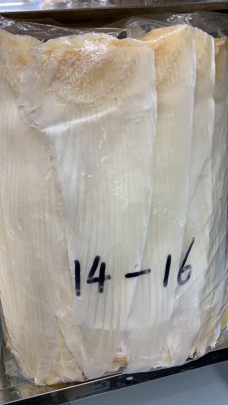 鱼翅牙拣牙片牙栋翅片红烧鲍翅14-24寸500克