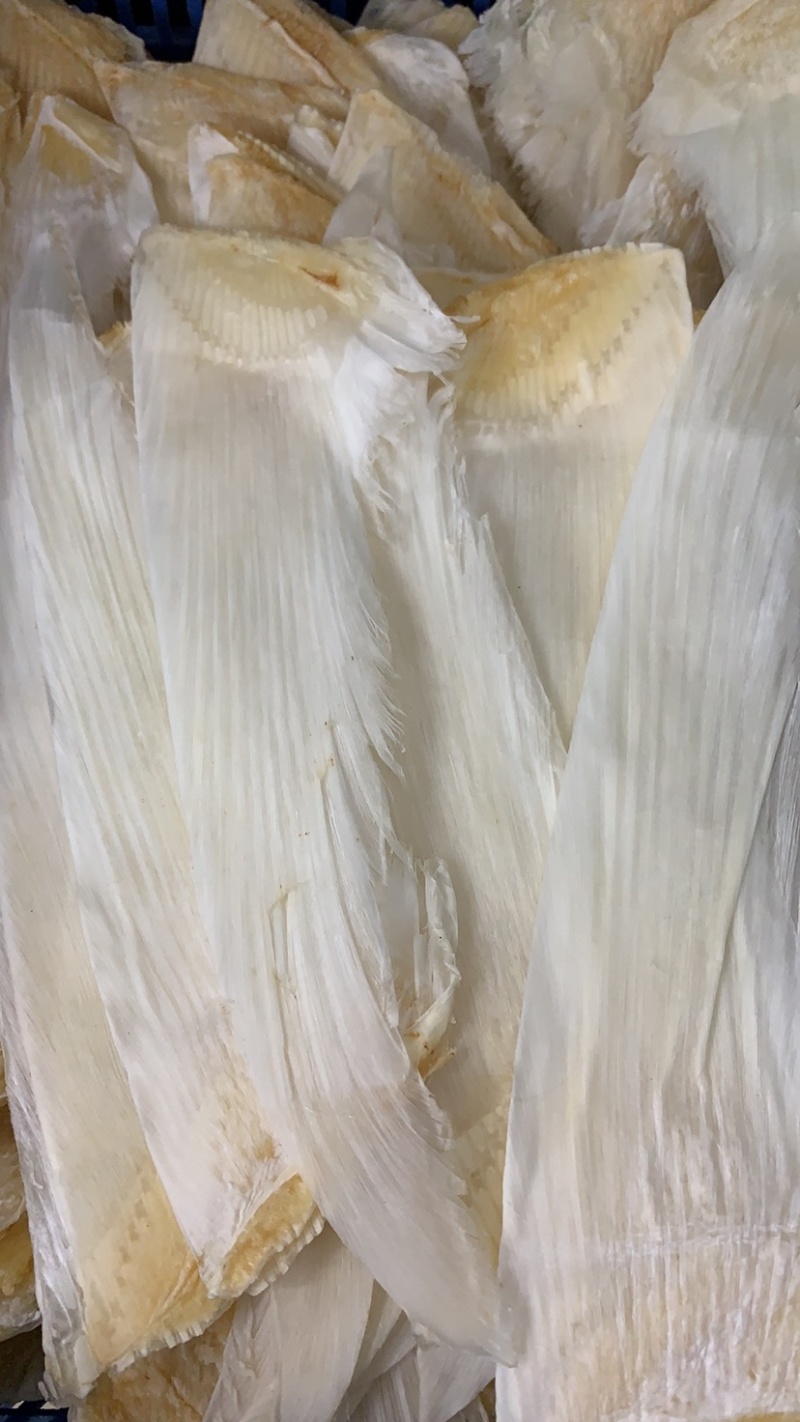 鱼翅牙拣牙片牙栋翅片红烧鲍翅14-24寸500克