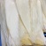 鱼翅牙拣牙片牙栋翅片红烧鲍翅14-24寸500克