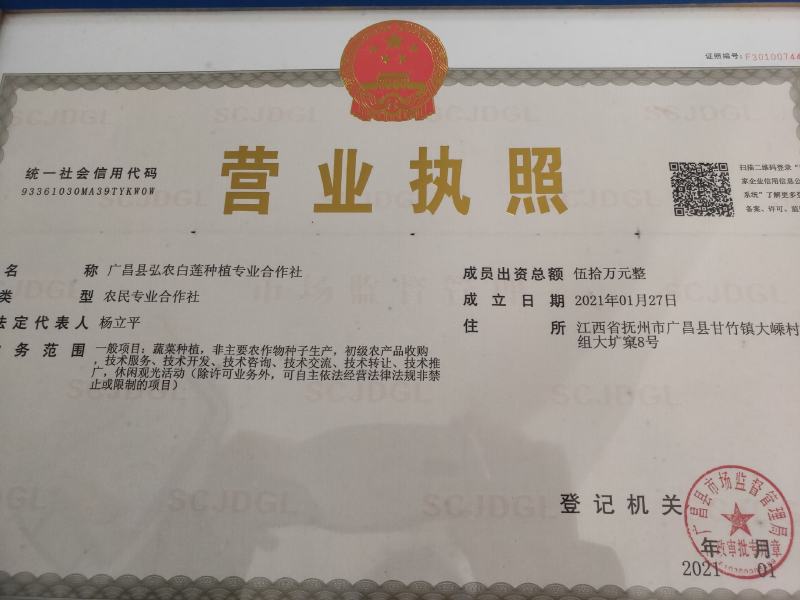 广昌太空36号荷花苗，纯红花无杂苗，产量高，一手货源。
