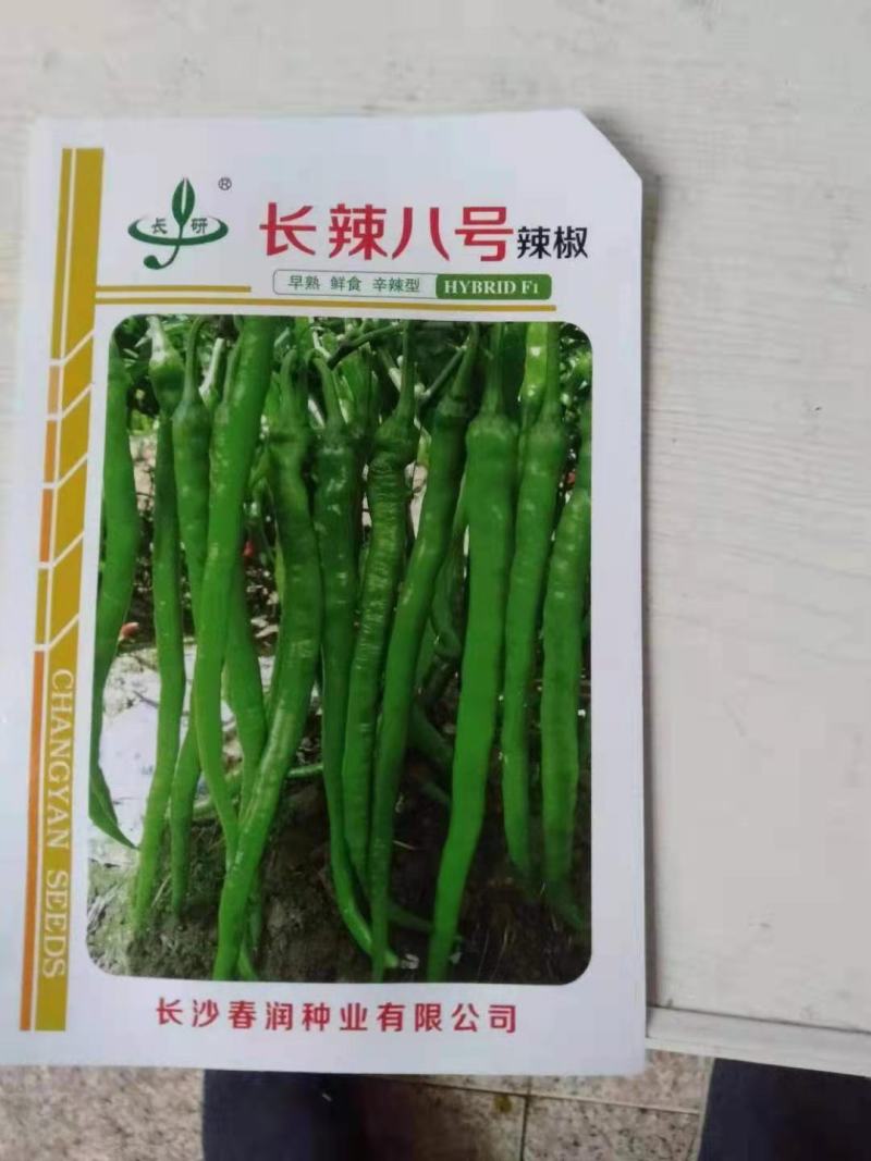 长辣八号绿皮青15号红宝二号