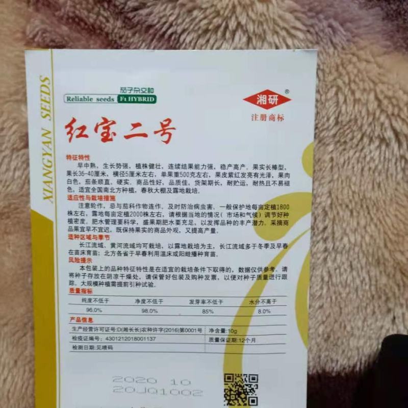 长辣八号绿皮青15号红宝二号