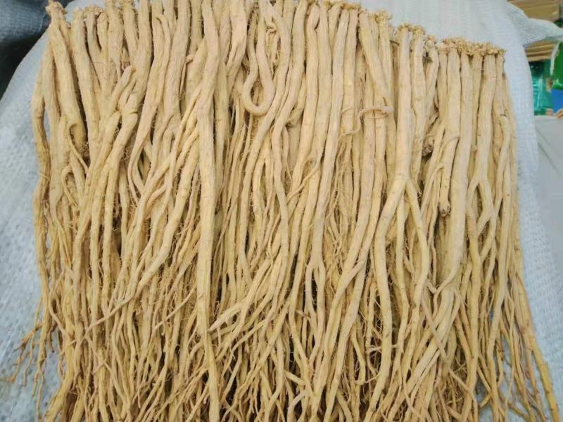 甘肃陇西党参小条白条党参5斤包邮免费磨粉调味品调味料卤料