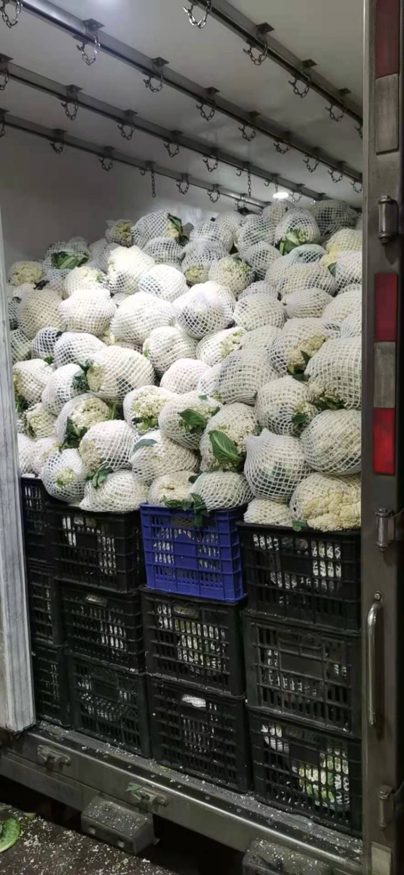 花菜大量供应渠道、小米青梗有机散花、大量供应平台