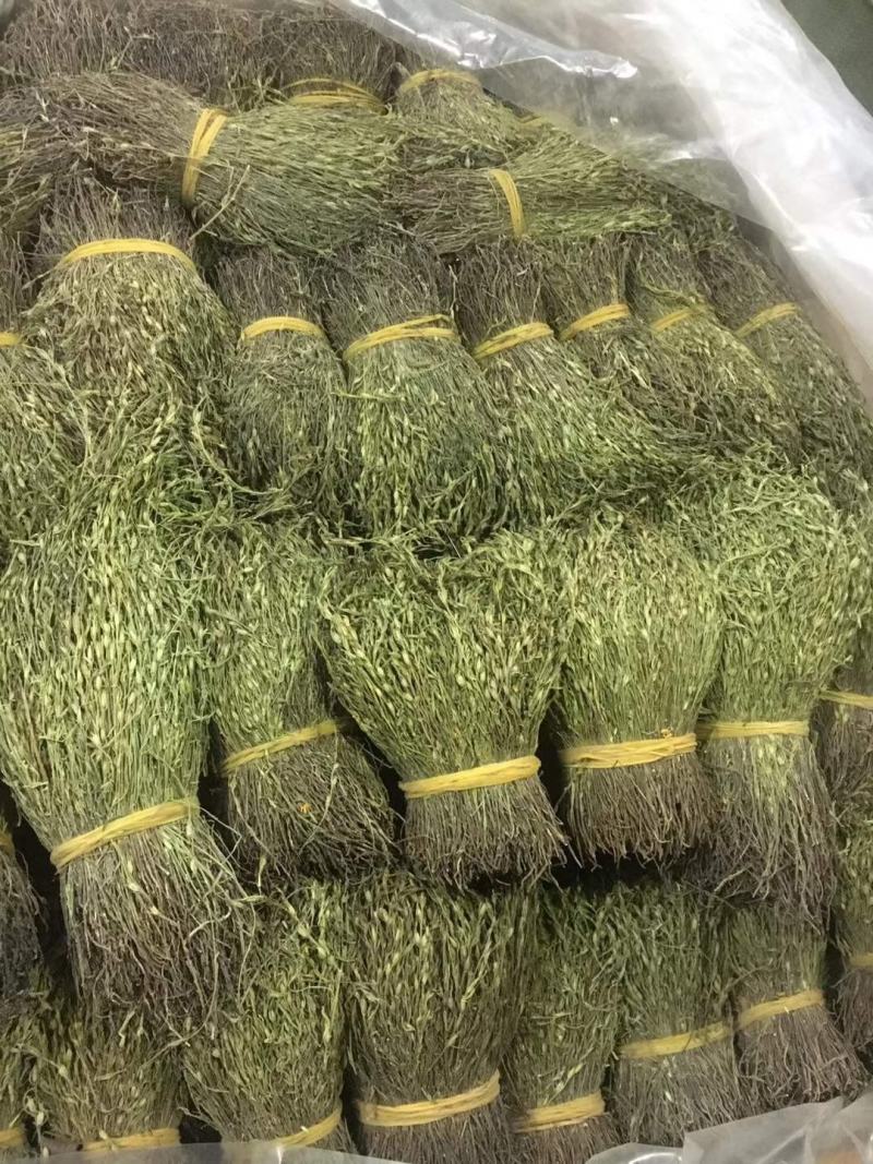 独脚金，一手货源，可大货批发