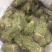 独脚金，一手货源，可大货批发