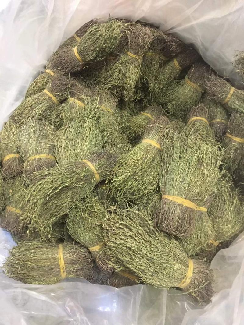 独脚金，一手货源，可大货批发