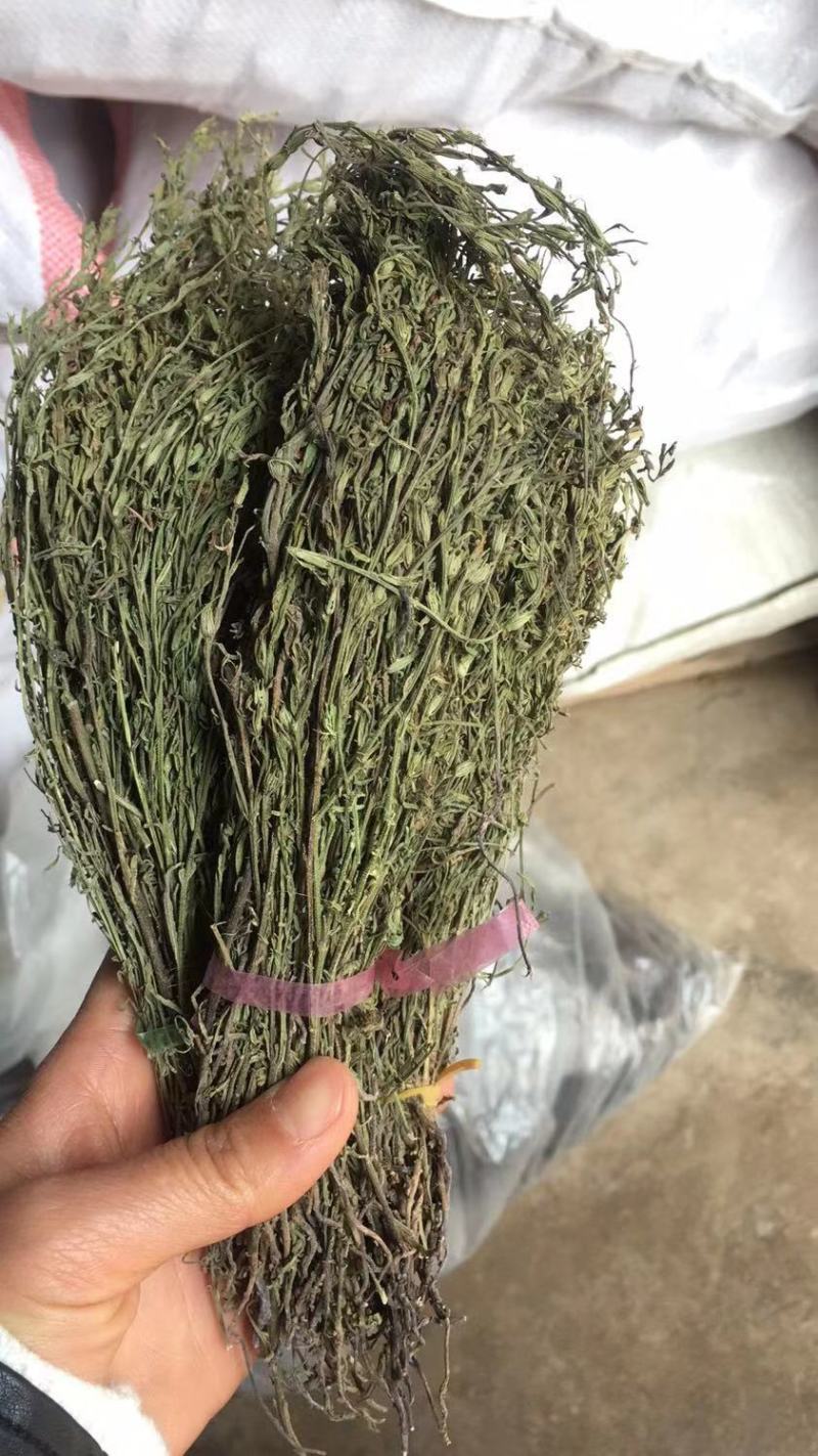 独脚金，一手货源，可大货批发