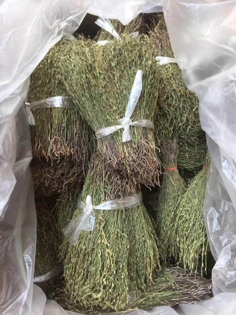 独脚金，一手货源，可大货批发