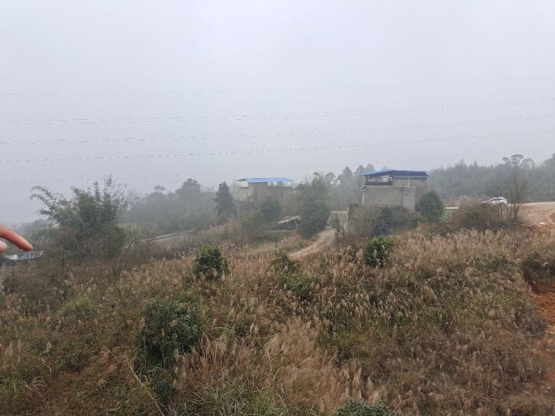 农家小院出租交通方便