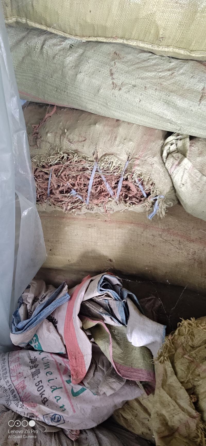 产地只发精品中药材丹参