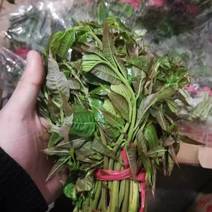 鲜货香春芽，现货发售