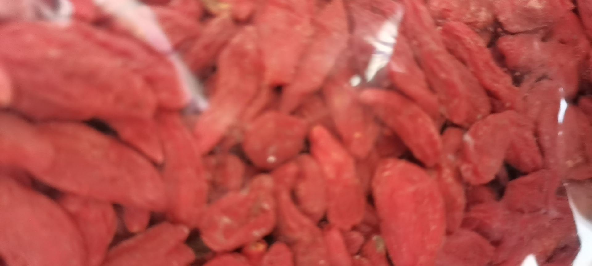 红枸杞实物展示图