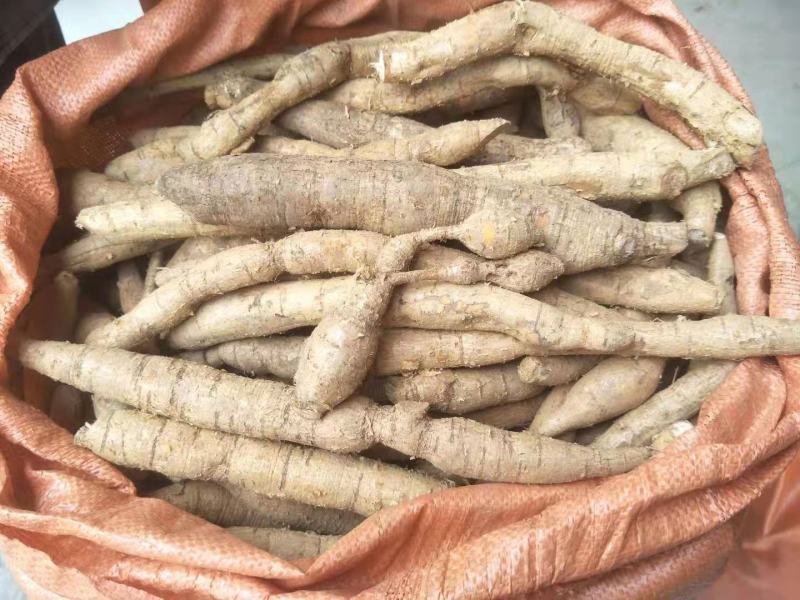 牛大力大量批发，有货需要的老板联系我。