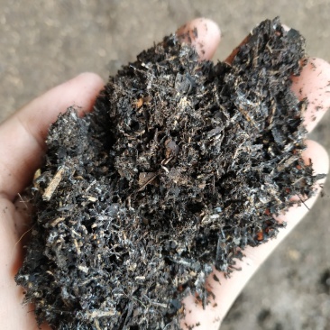 大量出有机肥原料!!