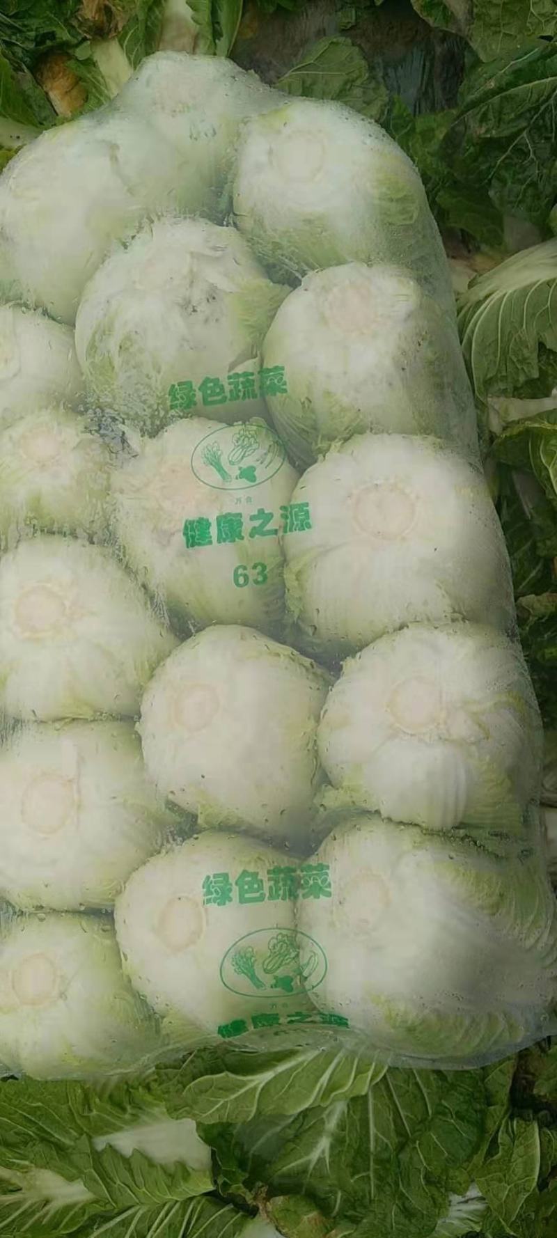 湖南黄心白菜净菜自产自销货源充足，可供出口加工厂