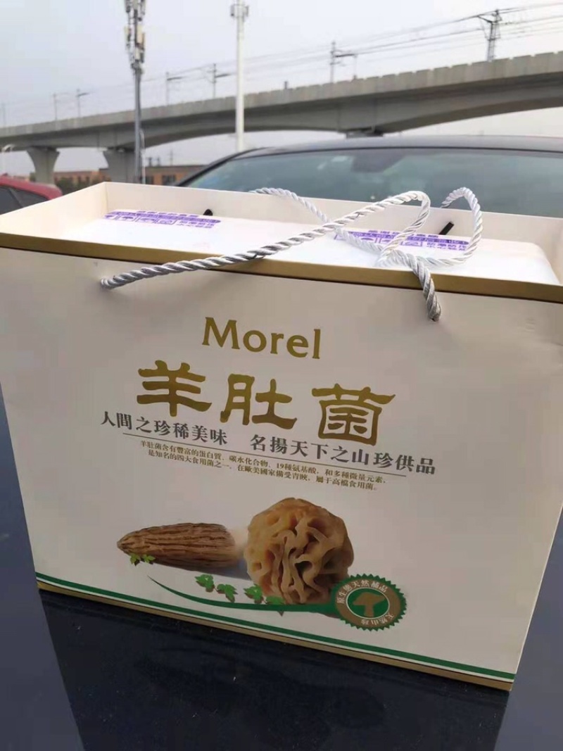 产地直销新鲜羊肚菌顺丰包邮礼盒包装500克一盒