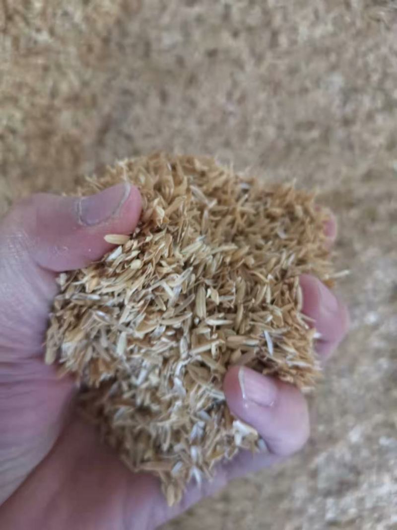 压缩稻壳散装稻壳常年大量供应信阳市光山县发货