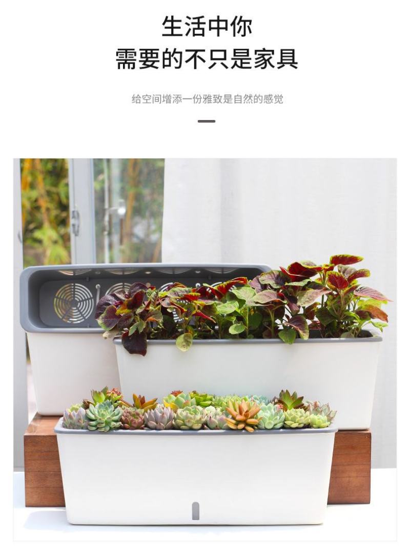 懒汉花盆阳台种植新时尚———让你变成种植家