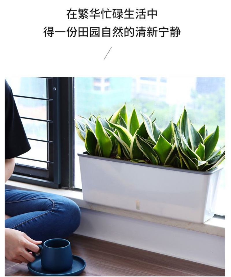 懒汉花盆阳台种植新时尚———让你变成种植家
