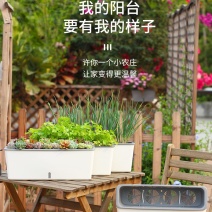 懒汉花盆阳台种植新时尚———让你变成种植家