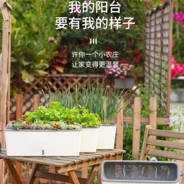 懒汉花盆阳台种植新时尚———让你变成种植家
