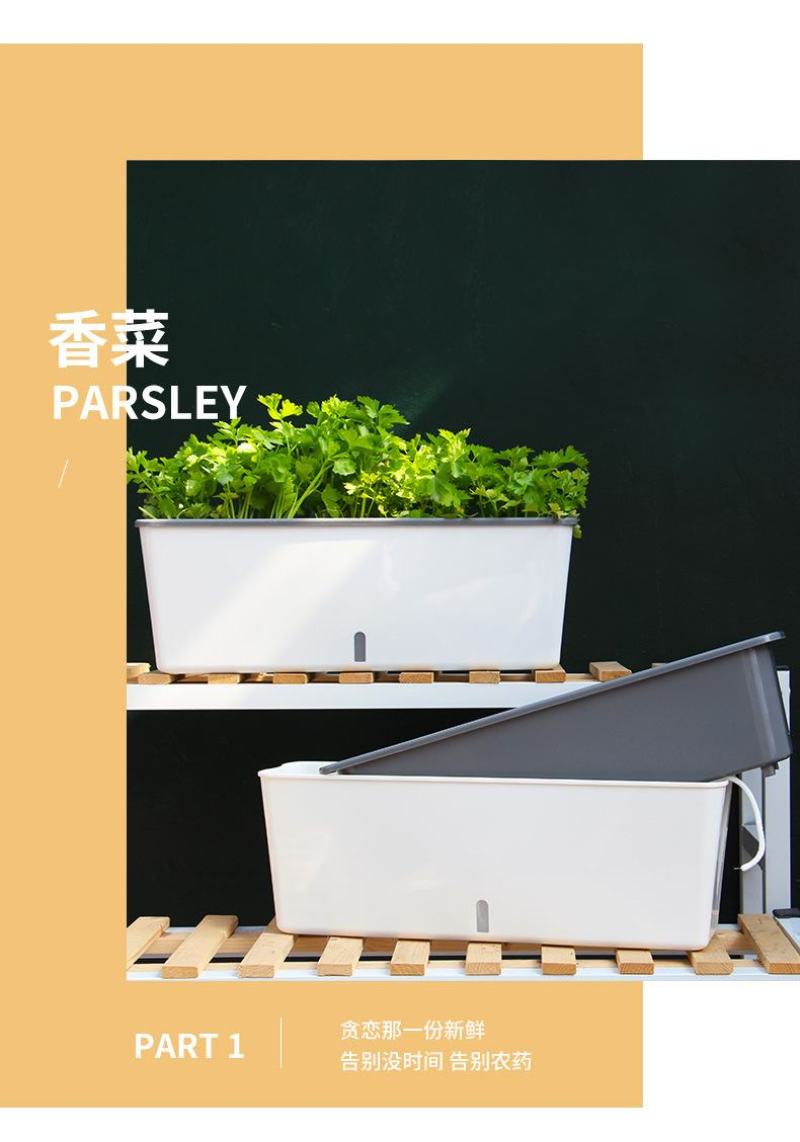 懒汉花盆阳台种植新时尚———让你变成种植家
