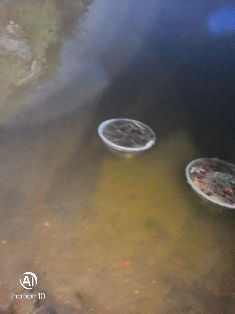 精品棱子蟹带黄率高基地一手货源全国发货3-7两