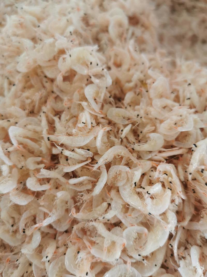 产地发货渤海低盐大虾皮，寻找调味品厂家合作按需加工
