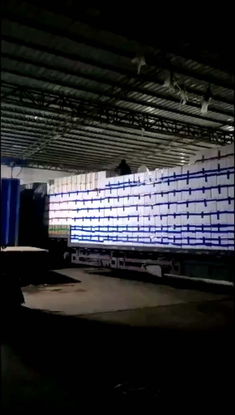 云南上海青常年供货全国批发质量新鲜保证