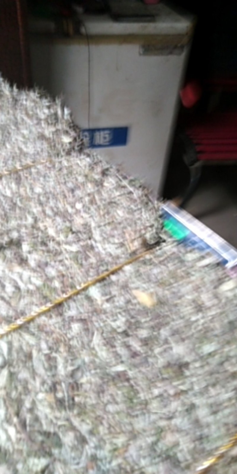 3年野生陈艾叶端午节，泡水冼高含量。有手选，保证质量长期
