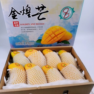海南三亚金煌芒特大果特产热带10斤芒果顺丰包邮一件代发