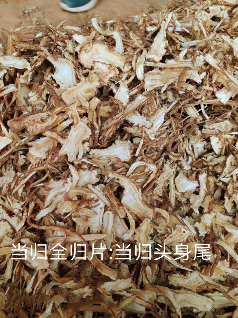 甘肃岷县原产地当归头片、全归片、当归股片，现货供应