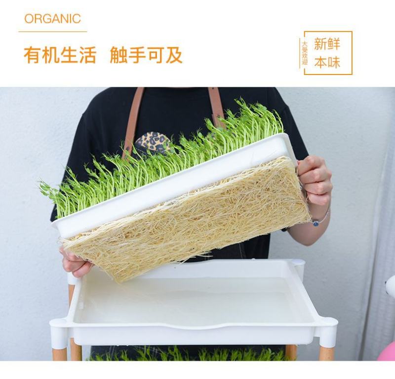 吃的是健康，关键是自己种的从头看到尾看着它的生长