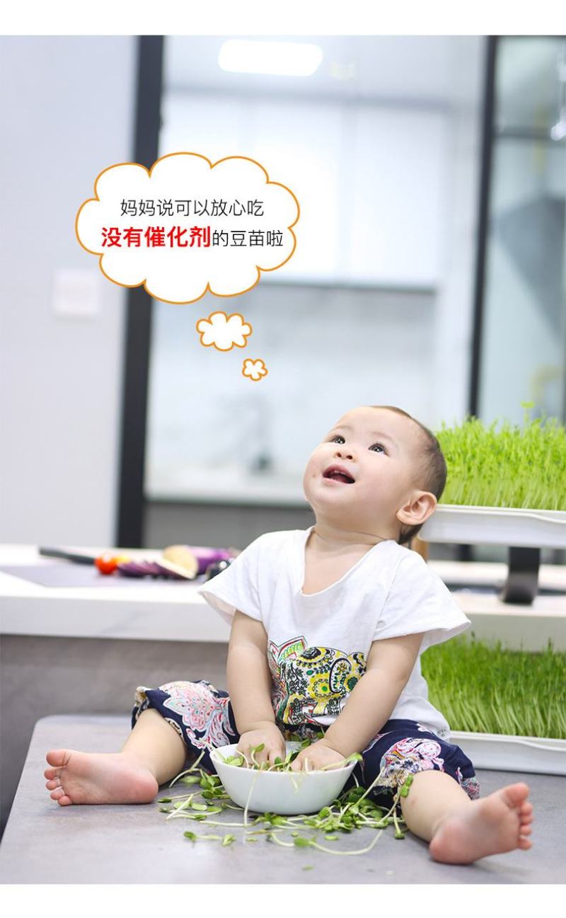 吃的是健康，关键是自己种的从头看到尾看着它的生长