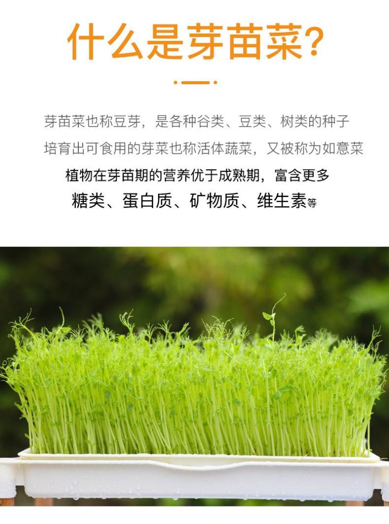 吃的是健康，关键是自己种的从头看到尾看着它的生长