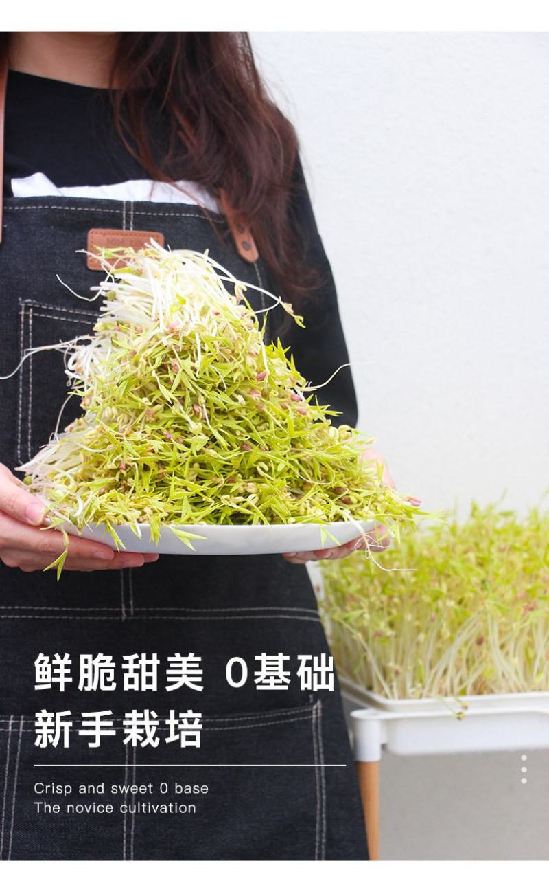 吃的是健康，关键是自己种的从头看到尾看着它的生长
