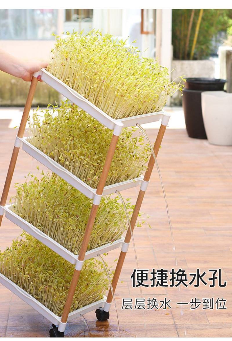 吃的是健康，关键是自己种的从头看到尾看着它的生长
