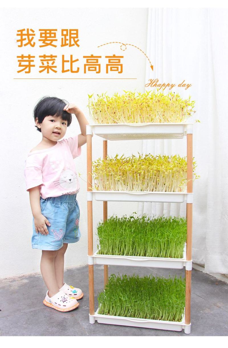 吃的是健康，关键是自己种的从头看到尾看着它的生长