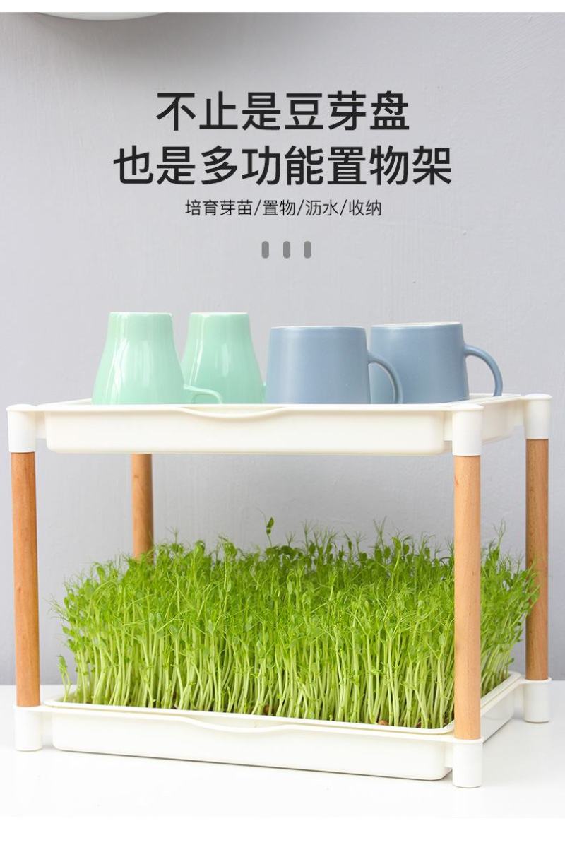 吃的是健康，关键是自己种的从头看到尾看着它的生长