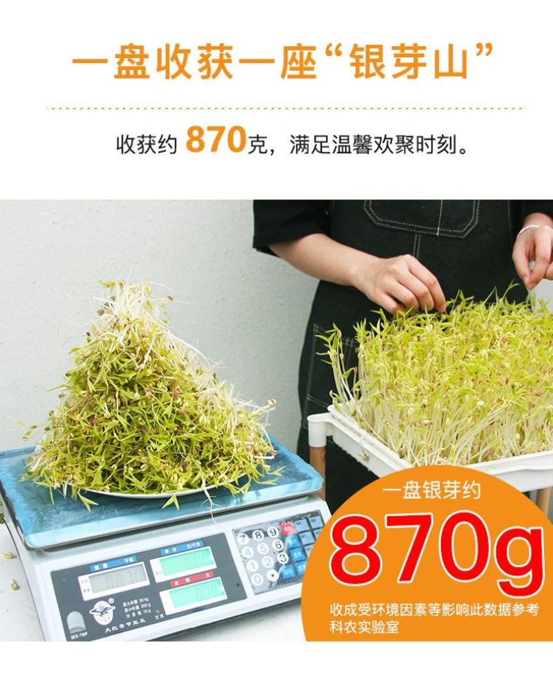 吃的是健康，关键是自己种的从头看到尾看着它的生长