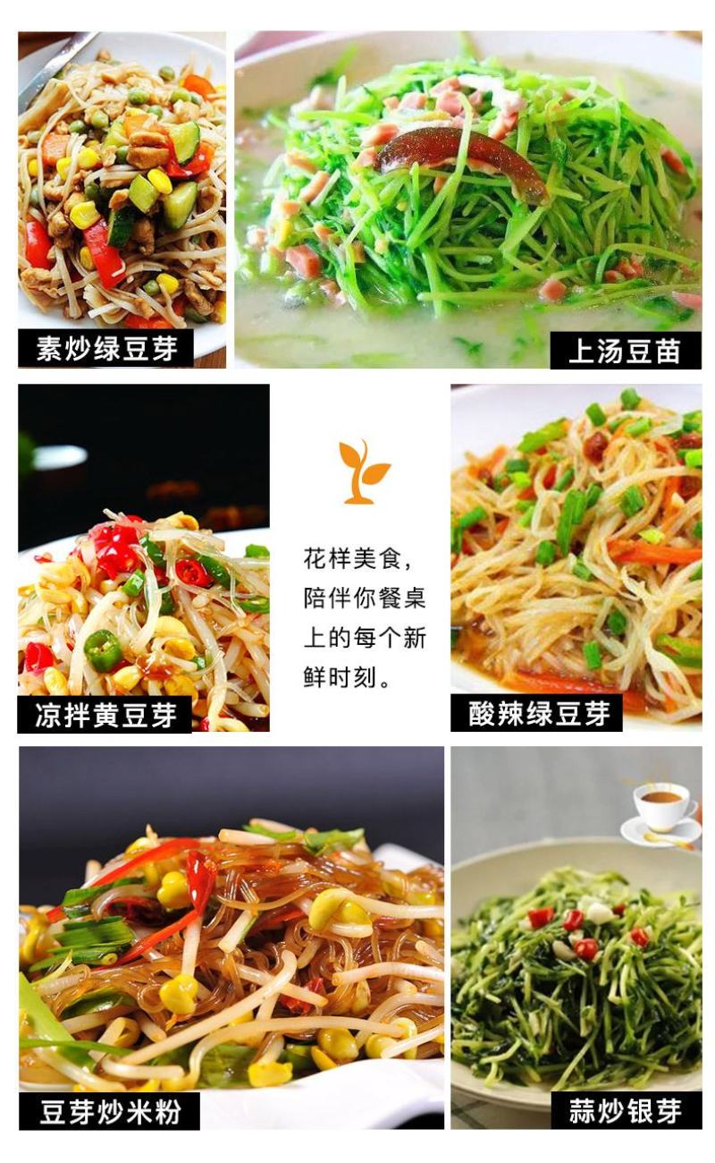 吃的是健康，关键是自己种的从头看到尾看着它的生长