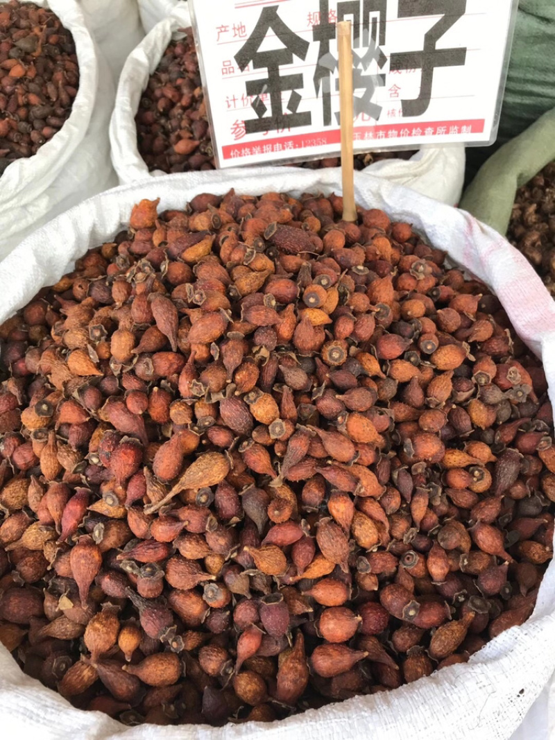 金樱子，广西玉林中药港