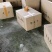 人工养殖基地丁桂鱼苗高品质丁桂鱼种苗批发报价良种水产
